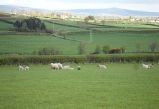 Valley View Country House Bed And Breakfast Bushmills Extérieur photo